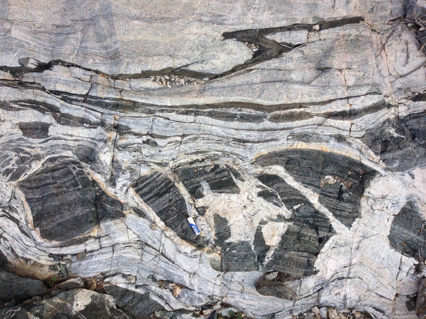 Folded and banded gneiss in outcrop
